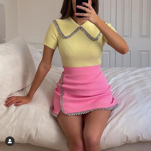 GORGEOUS ZARA NWT Appliqué Jewel Knit Skirt - Picture 5 of 16